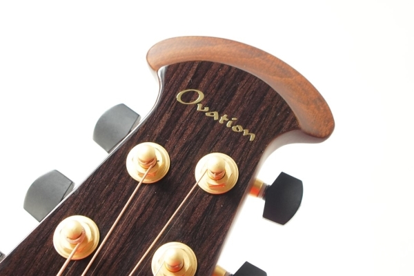 The Celebrity Collection 2022 CS24P FMYR-G